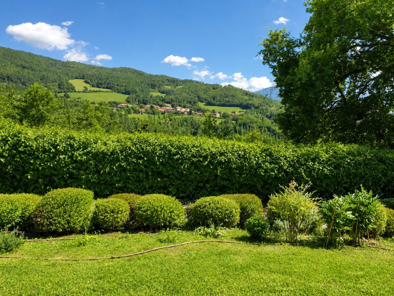Immobiliari nel monferrato - Piedmont Houses